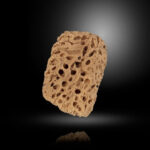 MEDITERRANEAN SPONGE